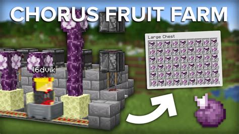 how to grow chorus fruit: exploring the mysteries of the chorus fruit